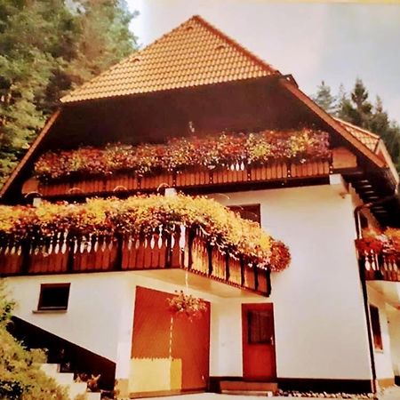 Ferienwohungen Im Kuchersbach ホルンベルク エクステリア 写真