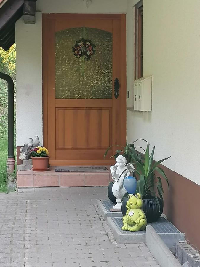 Ferienwohungen Im Kuchersbach ホルンベルク エクステリア 写真