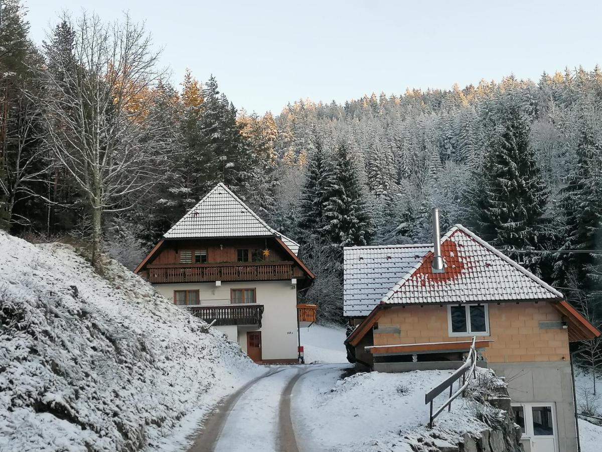Ferienwohungen Im Kuchersbach ホルンベルク エクステリア 写真